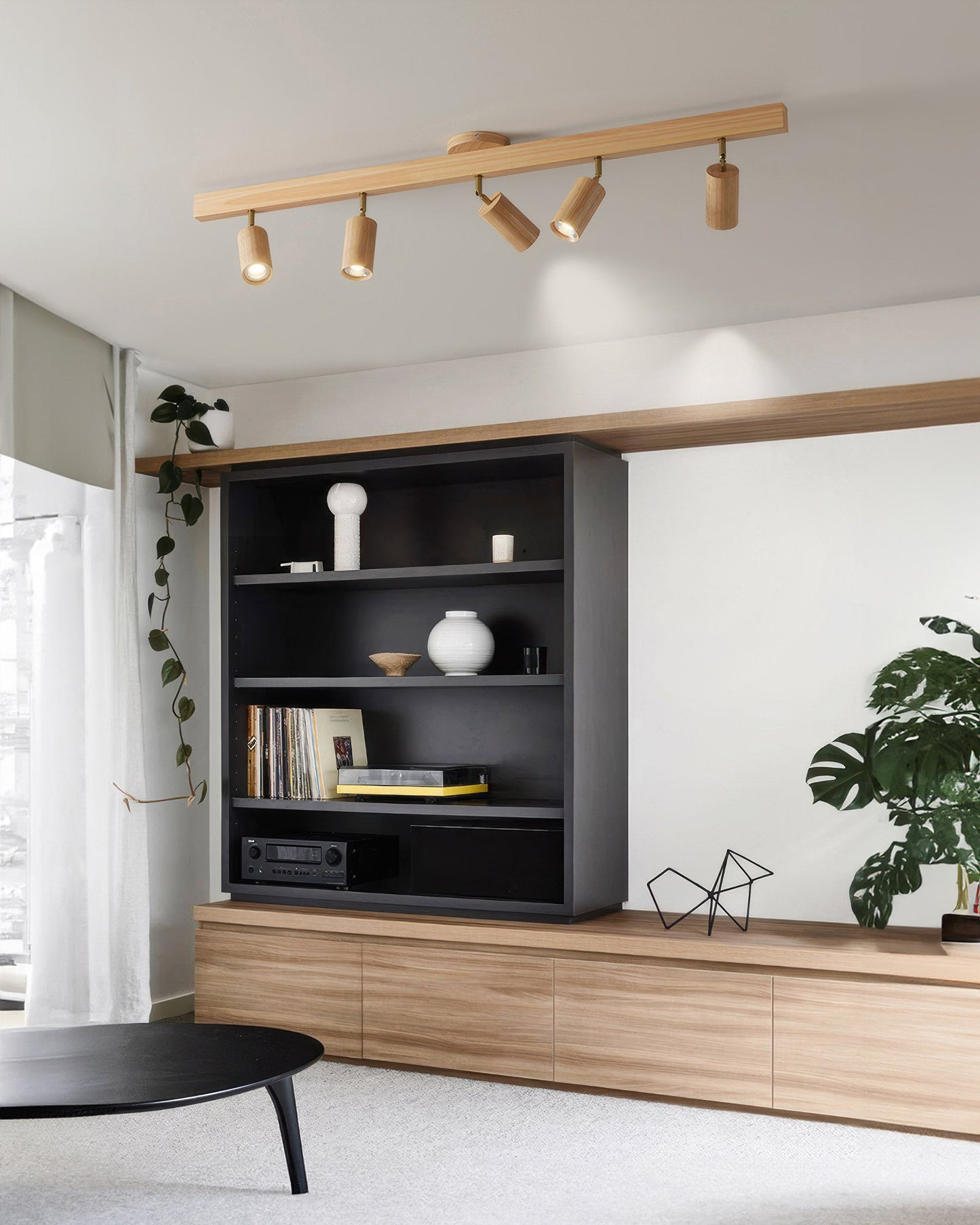 Walnut Gallery Track Light