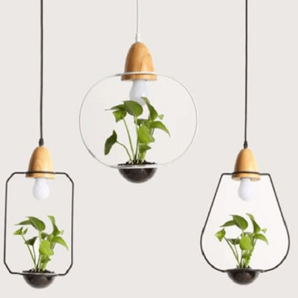 Zox - Modern Nordic Iron Pendant Planter Lamp - Nordic Side - amazing, architecture, arcitecture, art, artist, beautiful, business, canvas, clock, clocks, contemporaryart, decor, decoration,