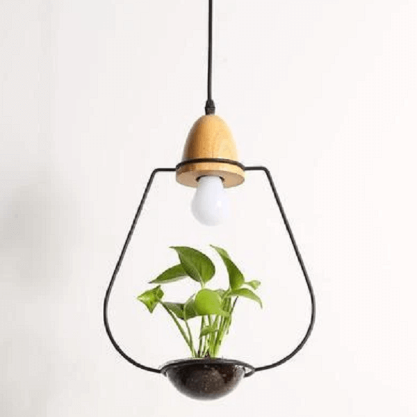 Zox - Modern Nordic Iron Pendant Planter Lamp - Nordic Side - amazing, architecture, arcitecture, art, artist, beautiful, business, canvas, clock, clocks, contemporaryart, decor, decoration,