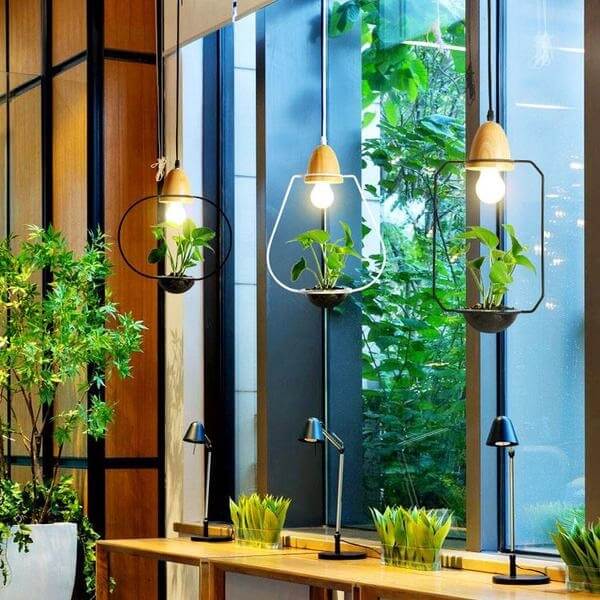 Zox - Modern Nordic Iron Pendant Planter Lamp - Nordic Side - amazing, architecture, arcitecture, art, artist, beautiful, business, canvas, clock, clocks, contemporaryart, decor, decoration,