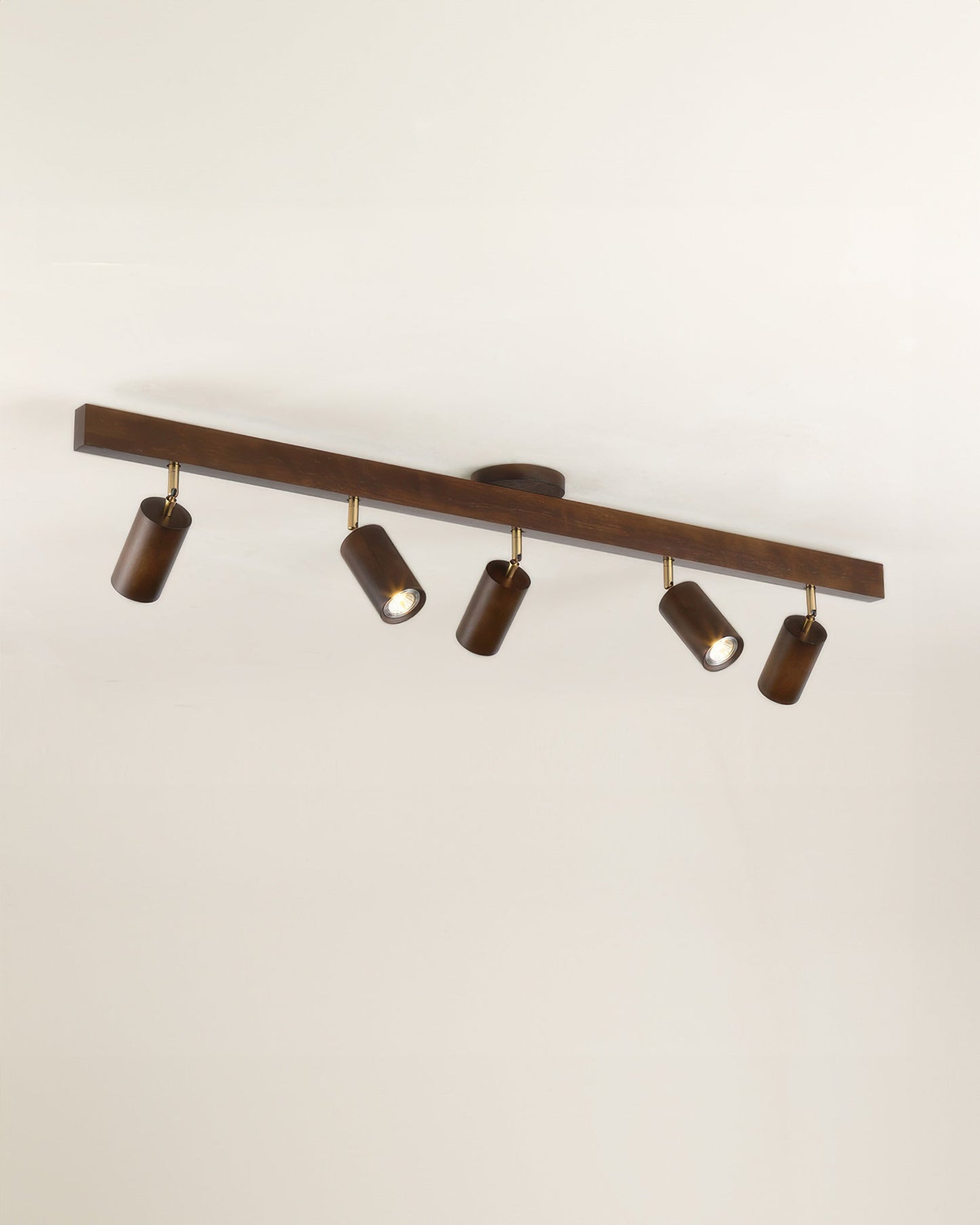 Walnut Gallery Track Light