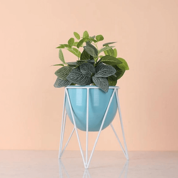 Darcy - Modern Nordic Iron Geometric Planter