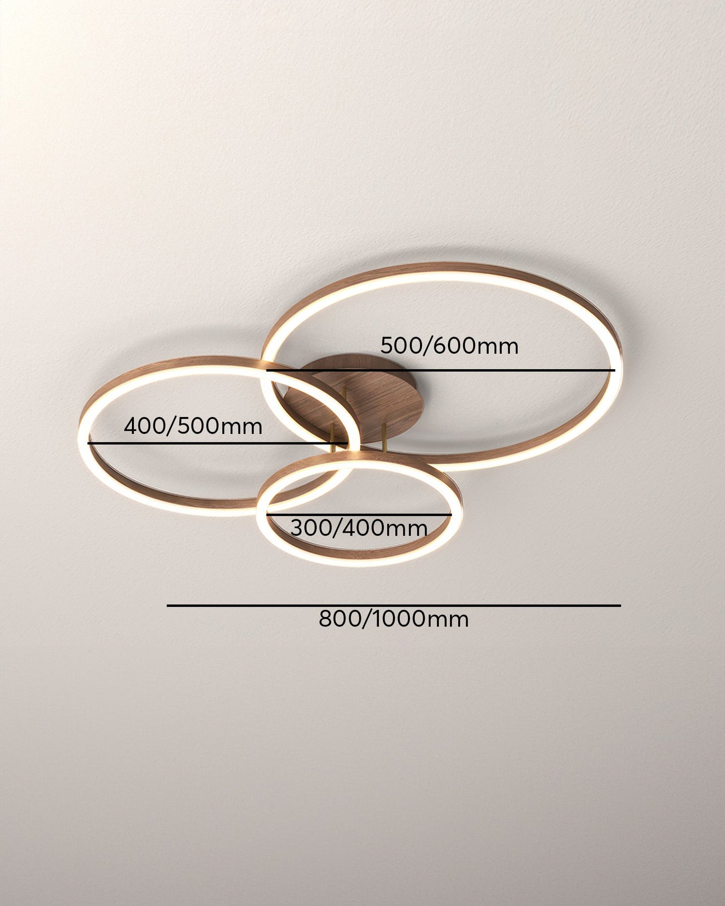 Elegant Ring Ceiling Luminaire