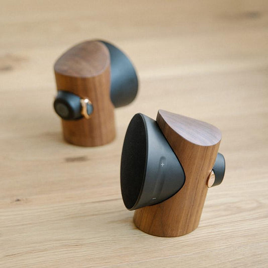 Zowoo Smart Wireless TWS Speaker